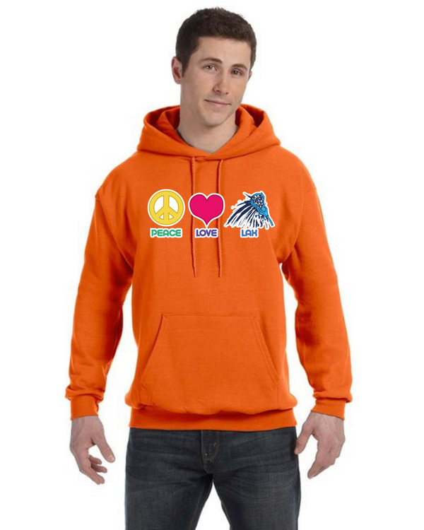 fashionable clothing hoodies sweatshirt sweater puffer bomber jacket jaquette jaquet