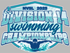 Div 14 Swim - Solid T-shirt - teal and navy design